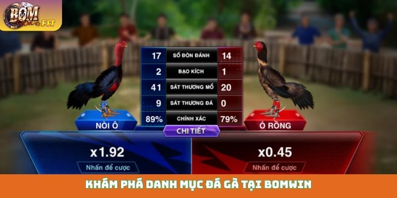 Đá gà Bomwin Khám phá danh mục đá gà tại Bomwin