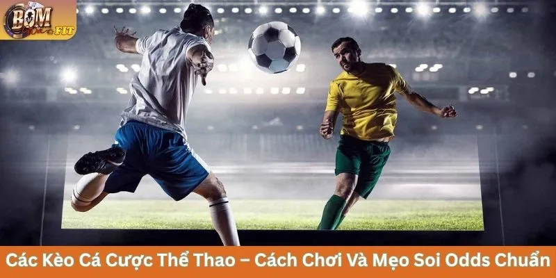 Cách Chơi Các Kèo Cá Cược Thể Thao Và Mẹo Soi Chuẩn Các Kèo Cá Cược Thể Thao