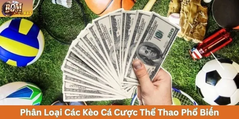 Cách Chơi Các Kèo Cá Cược Thể Thao Và Mẹo Soi Chuẩn Phân loại các kèo cá cược thể thao phổ biến